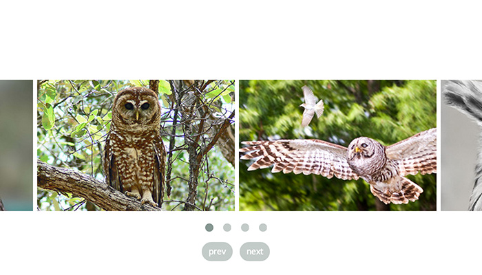 Flexible Responsive Image Carousels