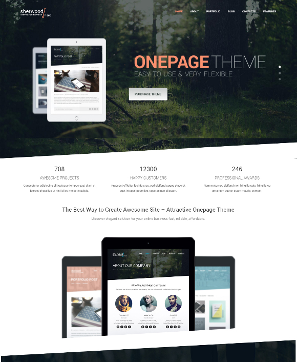 20 WordPress Themes for Business Consultants