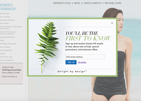 20 Gorgeous Examples Of Modal Window Pop Ups – Eroppa