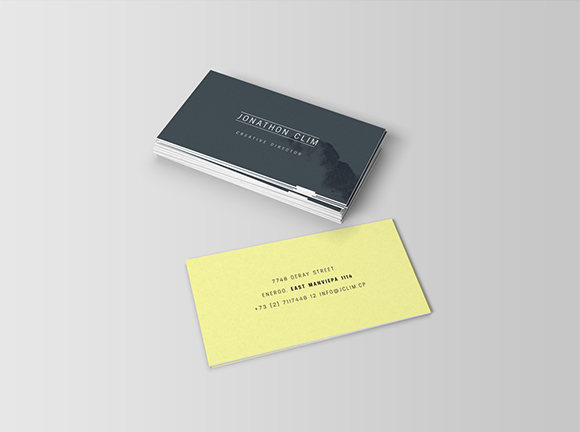 Download 20 Free Business Card MockUp PSDs to Download