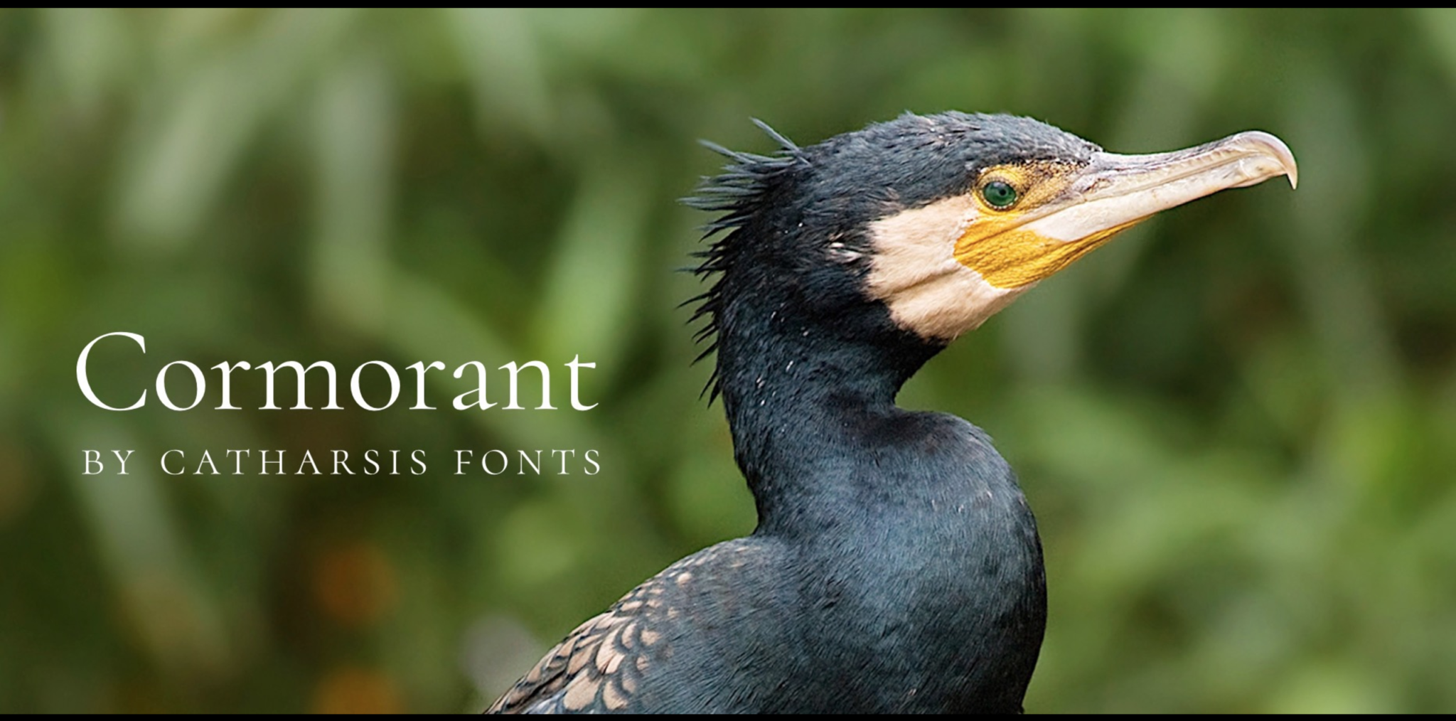 Cormorant шрифт